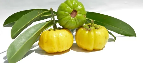 Optiloss